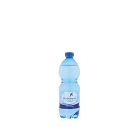 Acqua frizzante bottiglia PET 500ml San Benedetto